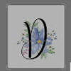 deborahpainter
